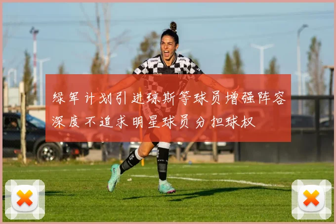 绿军计划引进琼斯等球员增强阵容深度不追求明星球员分担球权