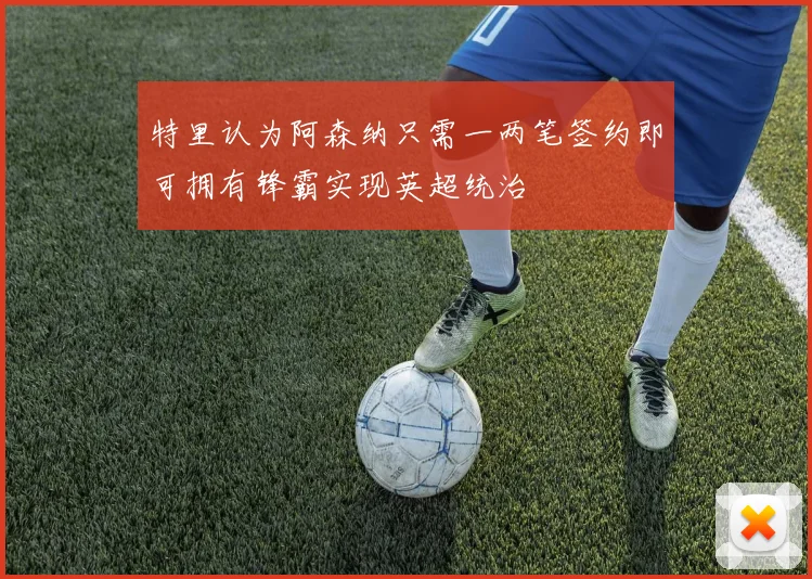特里认为阿森纳只需一两笔签约即可拥有锋霸实现英超统治