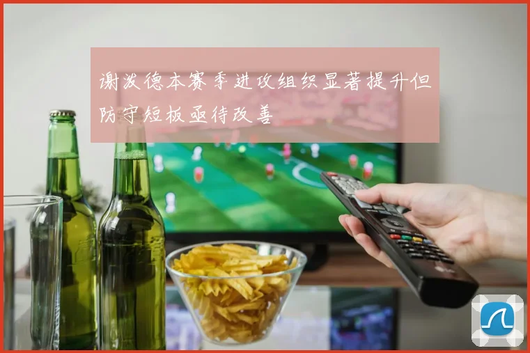 谢泼德本赛季进攻组织显著提升但防守短板亟待改善